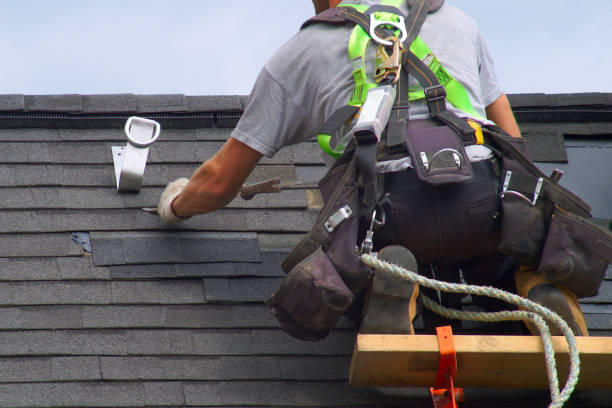 Roof Gutter Cleaning in Auburn, CA