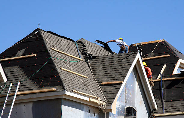 Best Roof Gutter Cleaning  in Auburn, CA